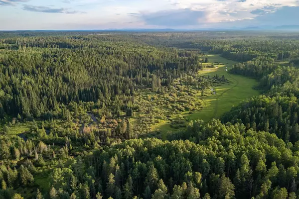 Rural Clearwater County, AB T0M 0N0,Limpkin Flats Twp Rd 355