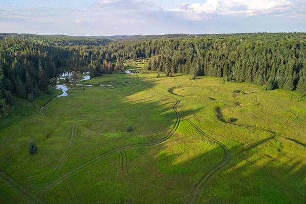 Rural Clearwater County, AB T0M 0N0,Limpkin Flats Twp Rd 355