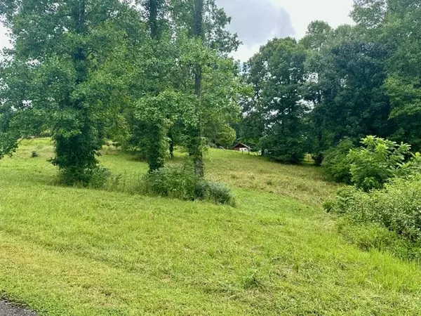 Blairsville, GA 30512,Lot 15 Pleasant Meadows Sub