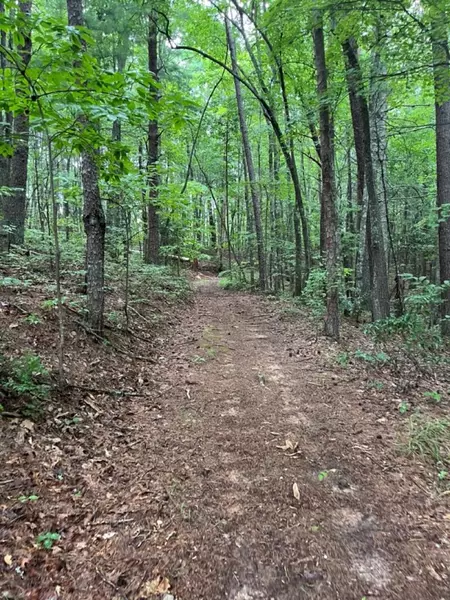 Lot 42 Timberline Road, Murphy, NC 28906