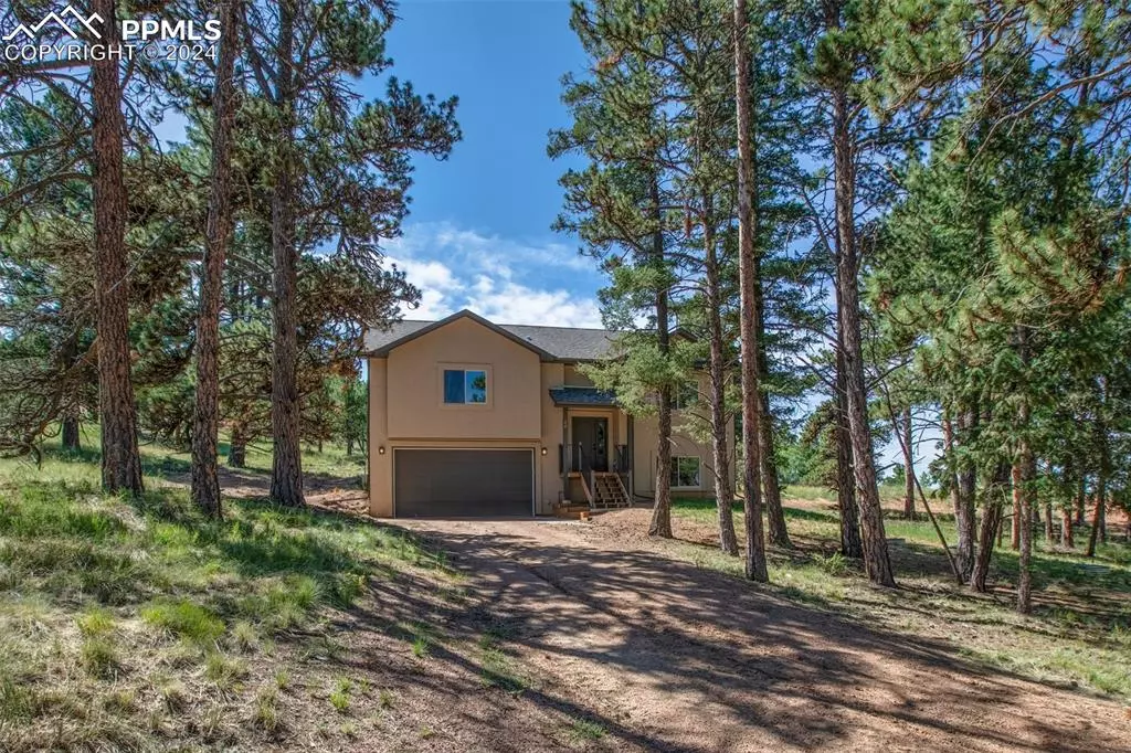 Florissant, CO 80816,24 Bighorn CIR