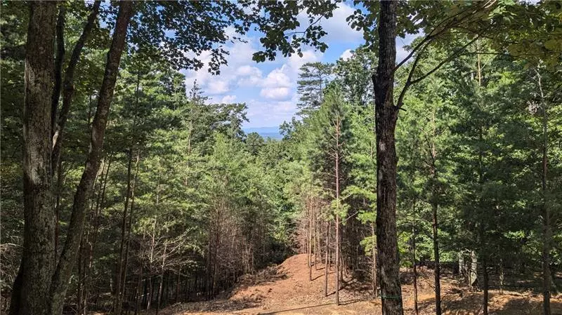 Jasper, GA 30143,56 Oglethorpe Mountain Trail