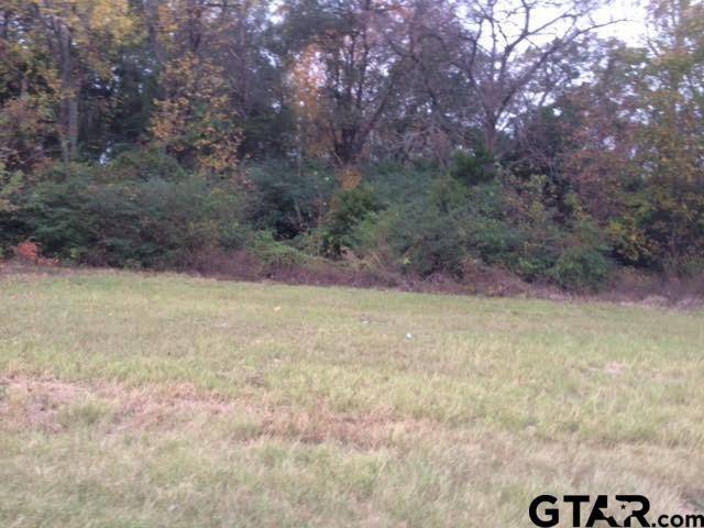 Mineola, TX 75773,000 LOOP 564 CFR2210