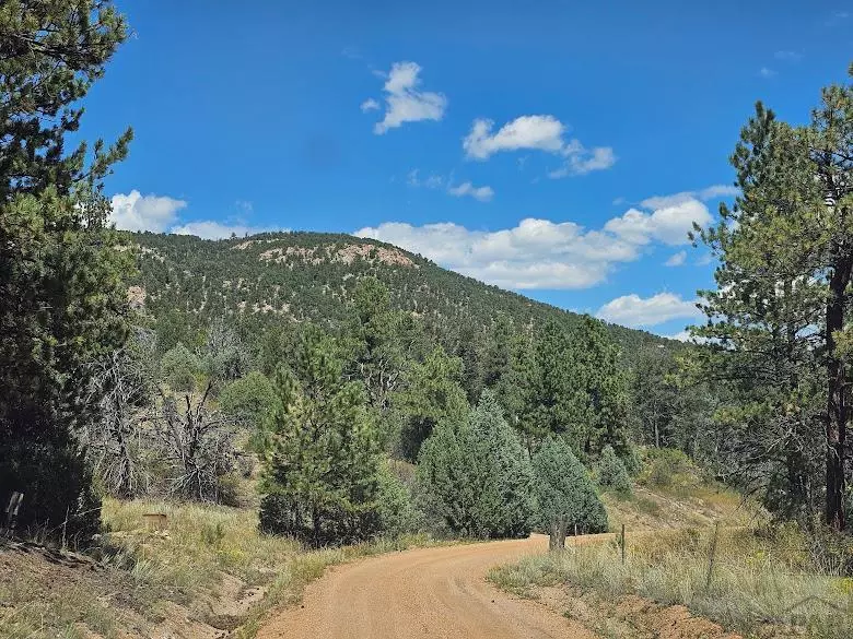 73 Alpine Way, Cotopaxi, CO 81223