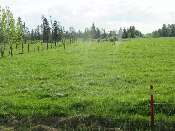 Rural Ponoka County, AB T0C 0M0,Range Road 4-1