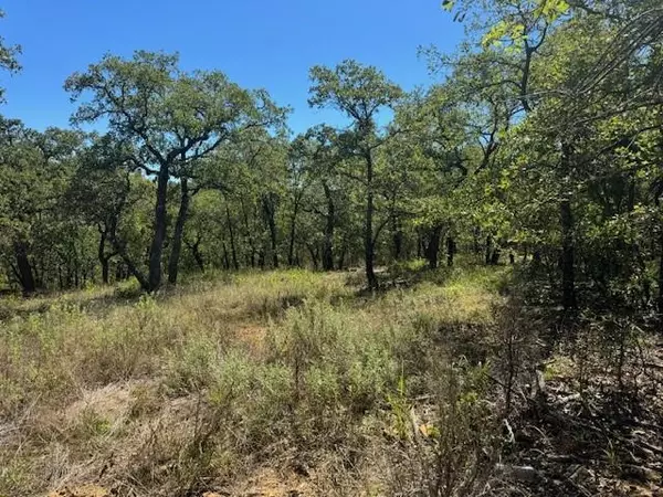 lot 26 blk 7 Hauser Place, Runaway Bay, TX 76426