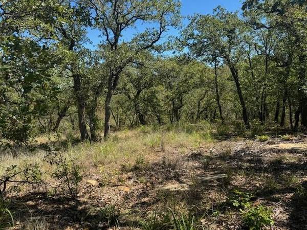 Runaway Bay, TX 76426,lot 26 blk 7 Hauser Place