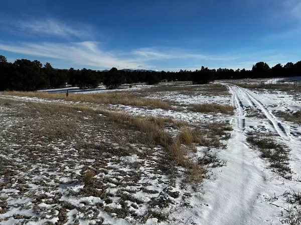 TBD 35th Trail, Cotopaxi, CO 81223