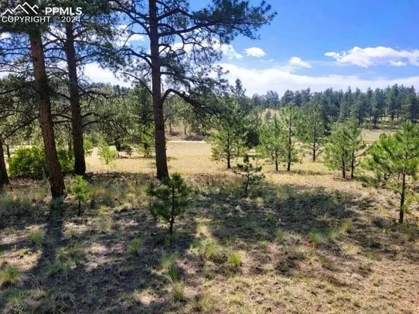 Tarryall, CO 80827,County Road 31