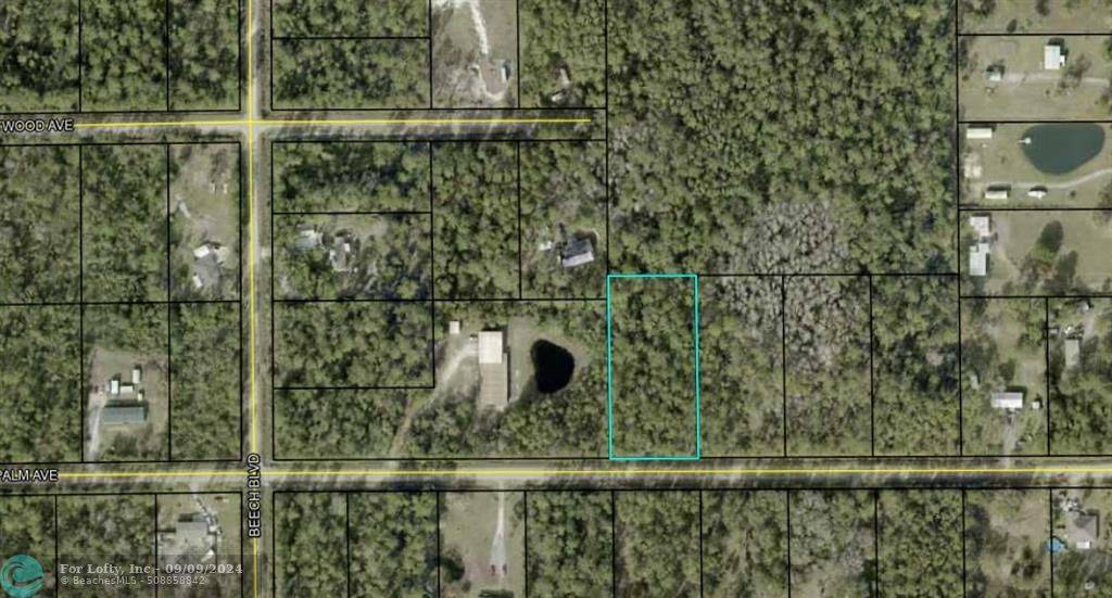 Bunnell, FL 32110,5326 Palm Ave