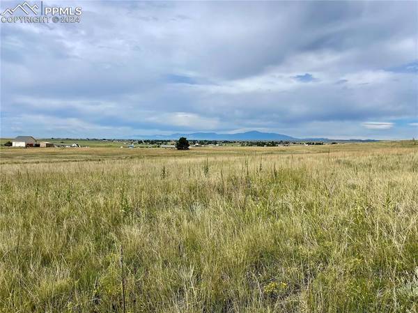 Peyton, CO 80831,18650 Longhorn Acres TRL