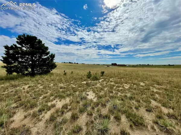 Peyton, CO 80831,18602 Longhorn Acres TRL