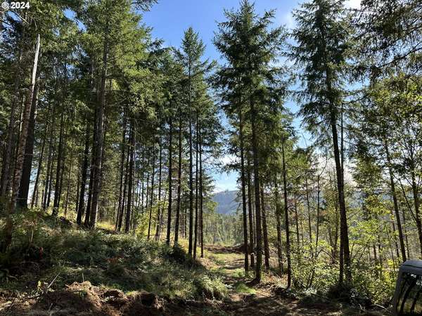 3647 Briar Knob LOOP, Scotts Mills, OR 97375