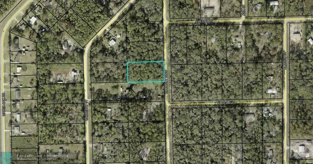 1298 Coconut Blvd, Bunnell, FL 32110