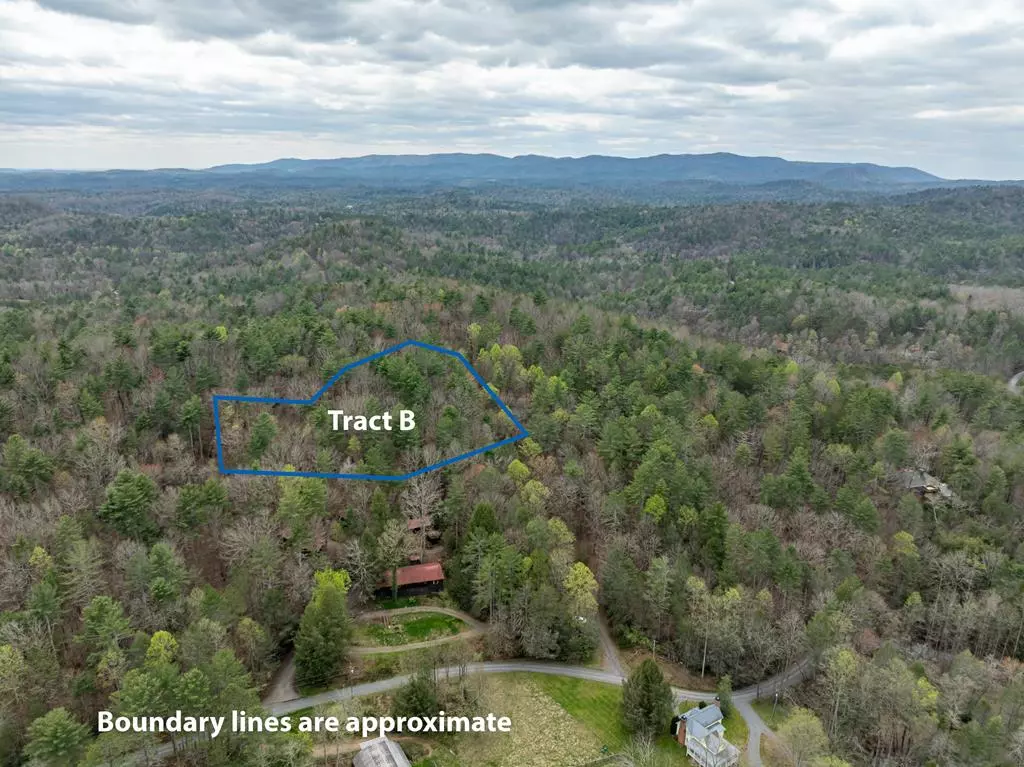 Ellijay, GA 30540,Tract B harpers creek road