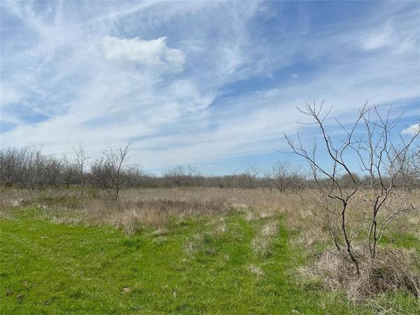 Tract 1E (13.91 acres) Frontage Road I-45, Streetman, TX 75859