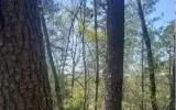 Mineral Bluff, GA 30559,0 Whispering Creek Drive