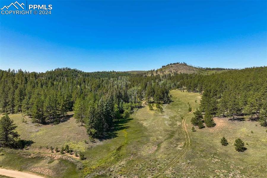 11068 Trail Creek RD, Divide, CO 80814