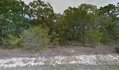 Mabank, TX 75156,115 Running Deer Road