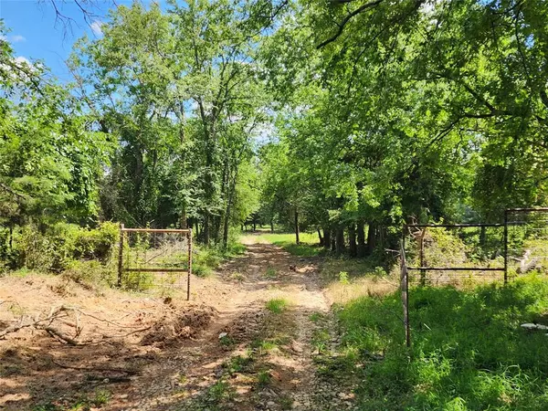 Pickton, TX 75471,000 S County Road 2389