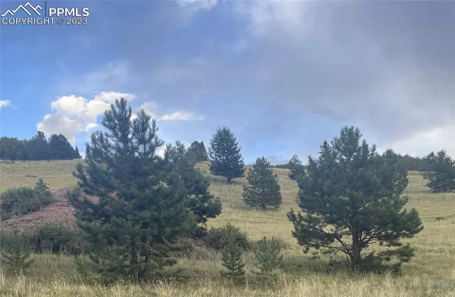 878 Anges DR, Cripple Creek, CO 80813