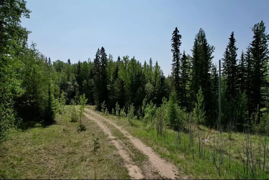 4A Township 591 Range Road 114B, Rural Woodlands County, AB T7S 1A0