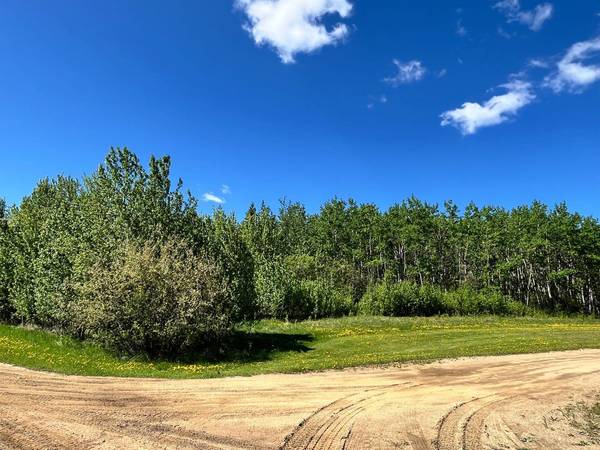 Lot 4 163 Range RD, Plamondon, AB T0A 2T0