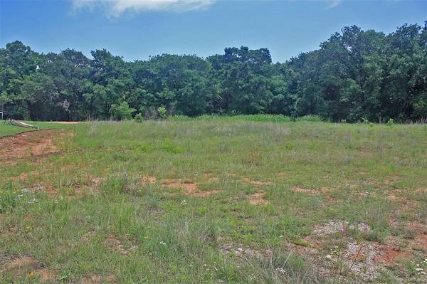 Glen Rose, TX 76043,Lot 37 Paloma Court