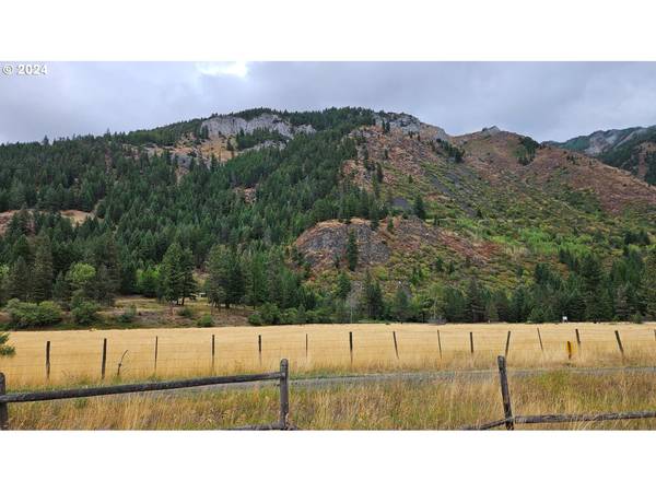 Lostine, OR 97857,64940 FIR RD