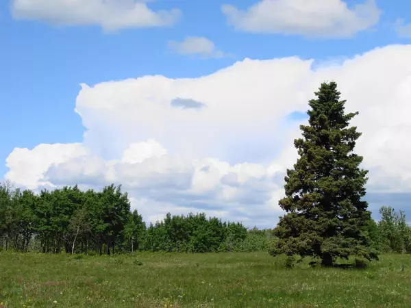 Rural Rocky View County, AB T0L 0W0,Glenbow Rd. & Mountain Ridge Place RD