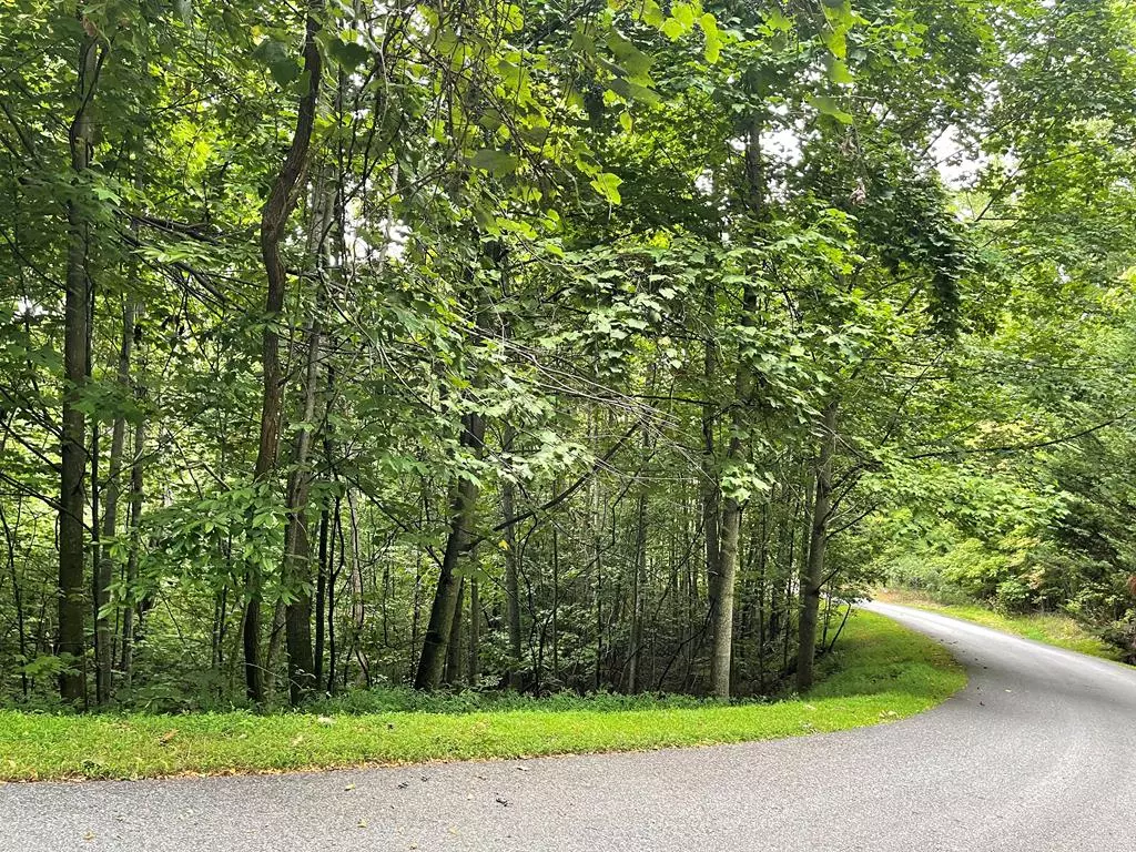 Hayesville, NC 29804,Lot 32 J Mountain Harbour Lot