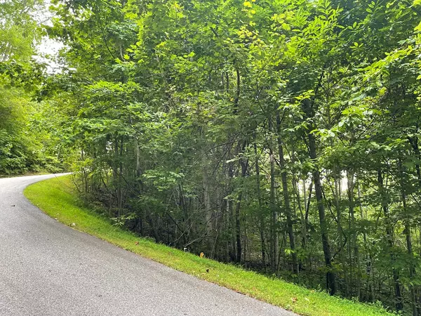 Hayesville, NC 29804,Lot 32 J Mountain Harbour Lot