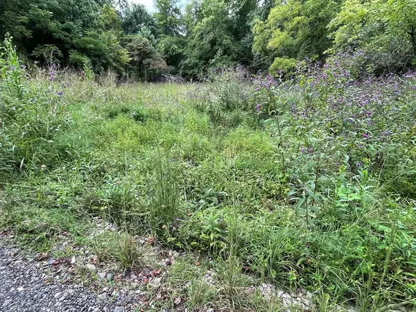 Hayesville, NC 28904,Lot 9 Sharons Valley Drive