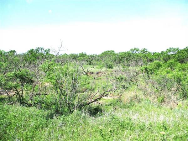 Ringgold, TX 76241,25 AC Boren