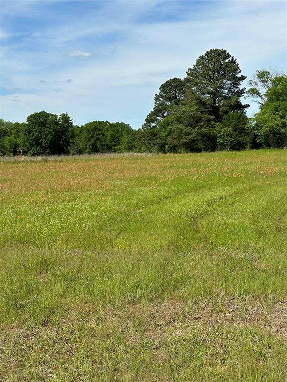 Grand Saline, TX 75140,TBD FM 17