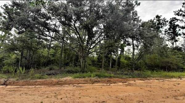 Lot 40 Alene Dr  # 5, Alford, FL 32420