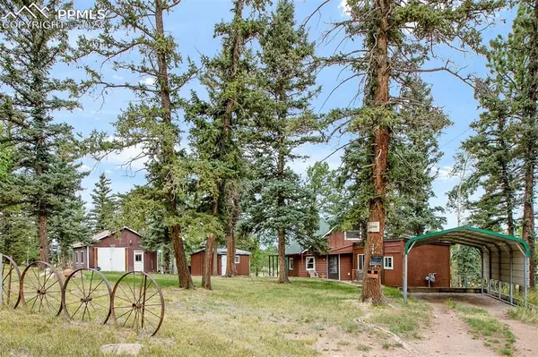 Divide, CO 80814,269 Elfin Glen DR