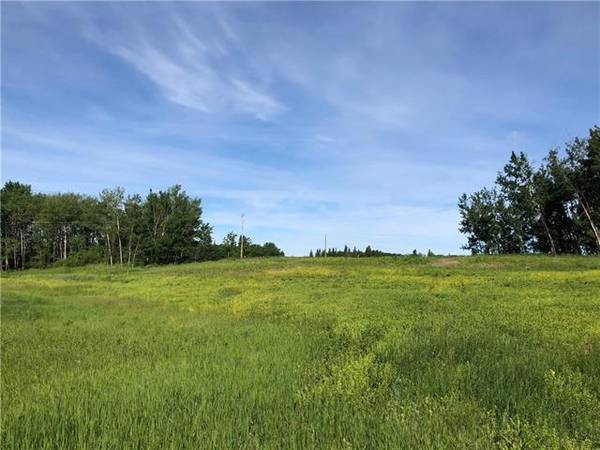 Lot 12 Campsite Road, Plamondon, AB T0A 2T0