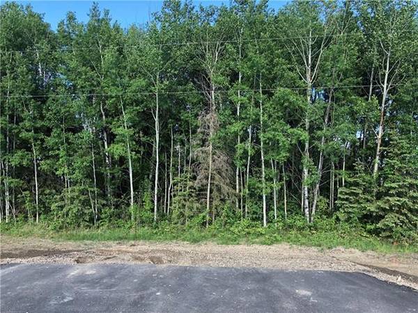 Lot 9 Campsite Road, Plamondon, AB T0A 2T0