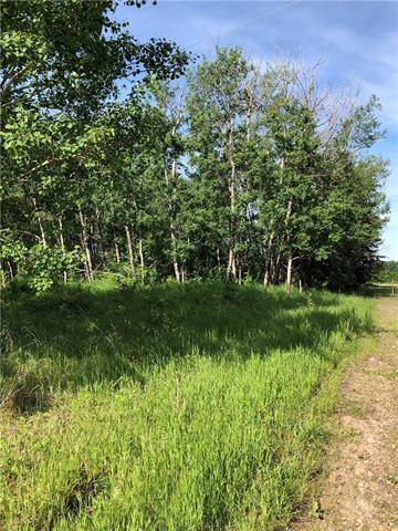 Lot 11 Campsite Road, Plamondon, AB T0A 2T0