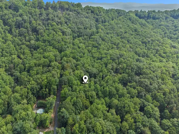 Ellijay, GA 30536,M100 Skyview Drive