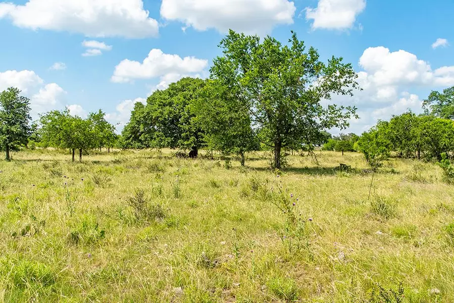 Lot 7 -- FM 2093, Harper, TX 78631