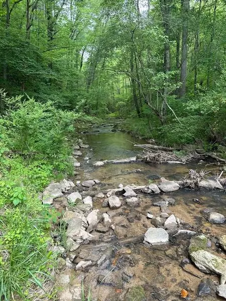 Lot 10 Clear Creek Preserve Way, Ellijay, GA 30536