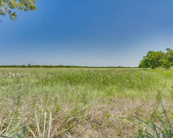 Blooming Grove, TX 76626,0001 NE CR 4040