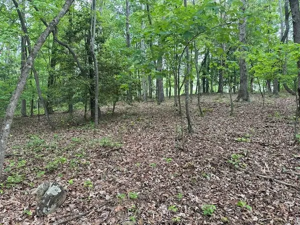 Ellijay, GA 30536,Lot 10 Clear Creek Preserve Way