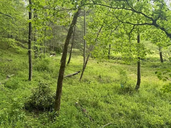 Ellijay, GA 30536,Lot 9 Clear Creek Preserve Way