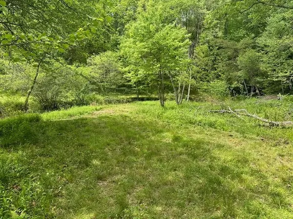 Ellijay, GA 30536,Lot 9 Clear Creek Preserve Way