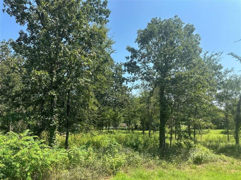 TBD LOT 37 Nicklaus Drive, Sulphur Springs, TX 75482