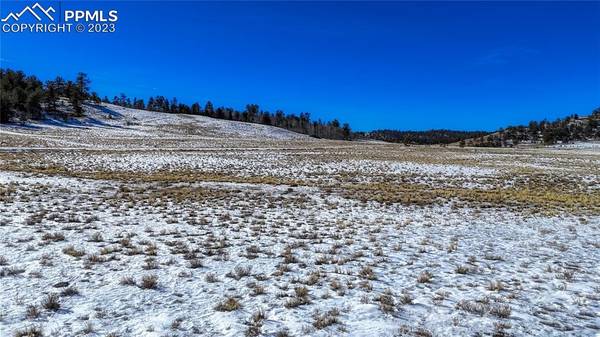 4332 Goldenberg Canyon RD, Hartsel, CO 80449