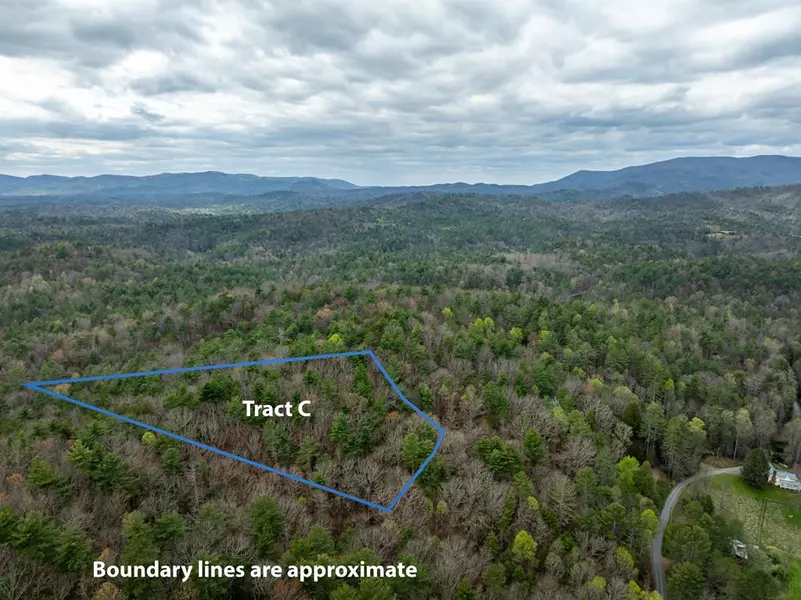 Tract C Harpers Creek Road, Ellijay, GA 30540